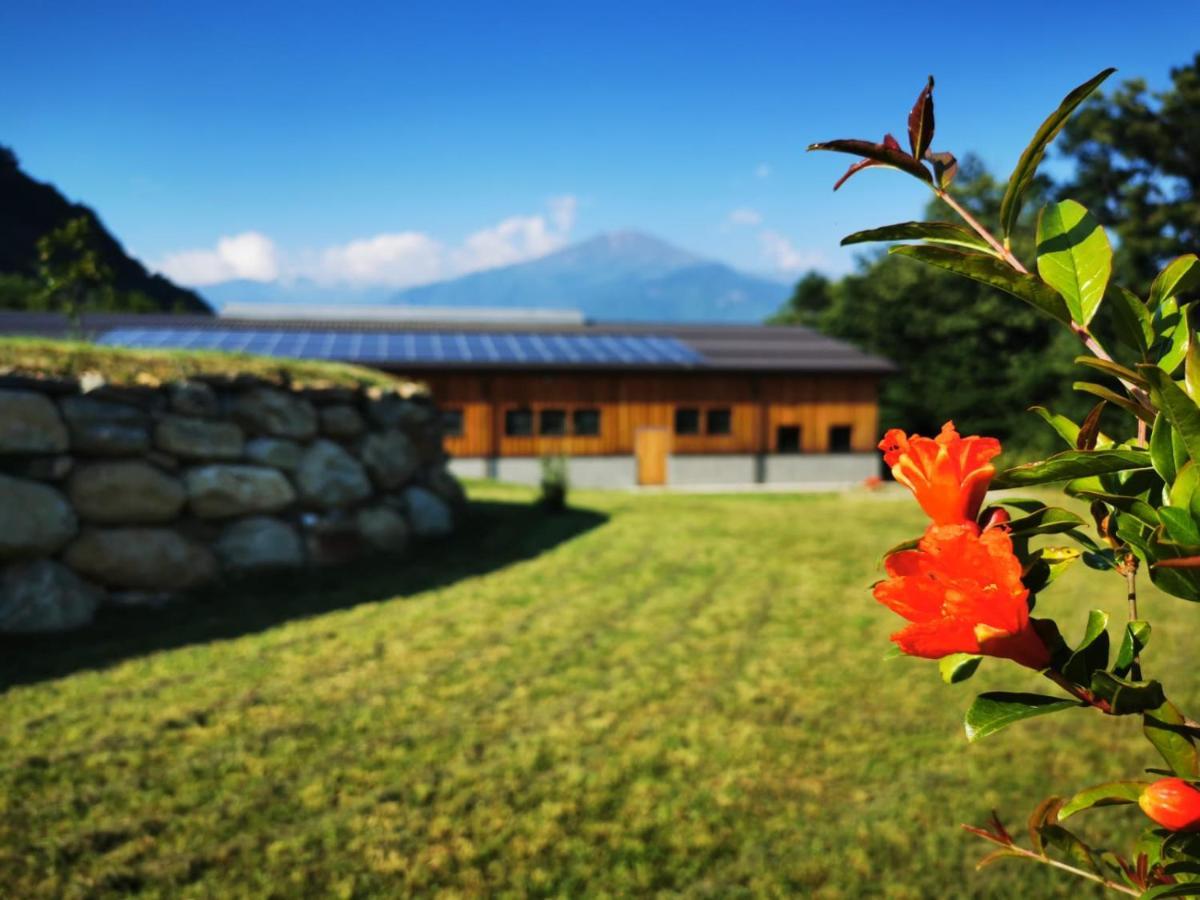 Agriturismo La Ca' D'Amelio Lessolo Exterior photo